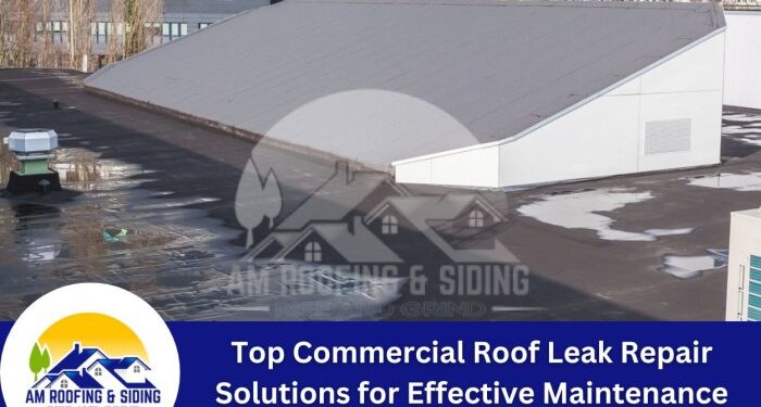 Top Commercial Roof Leak Repair Solutions for Effective Maintenance