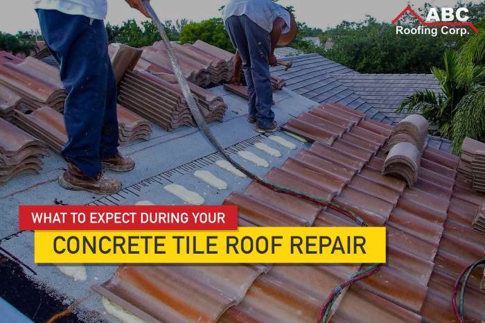 roof repair contractors-Hilltop, MN
