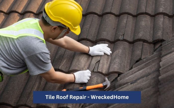 Tile Roof Repair - Fix Broken or Leaking Tiles Easily