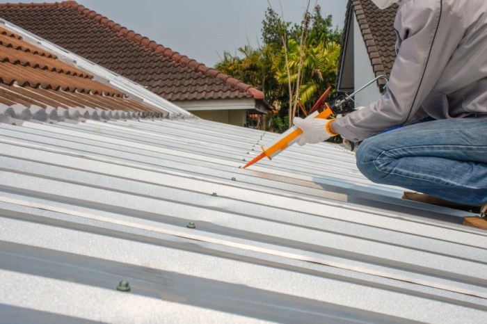 Repair Metal Roof Leaks | 3 methods shown Learn How to DIY | Turbo Poly ...