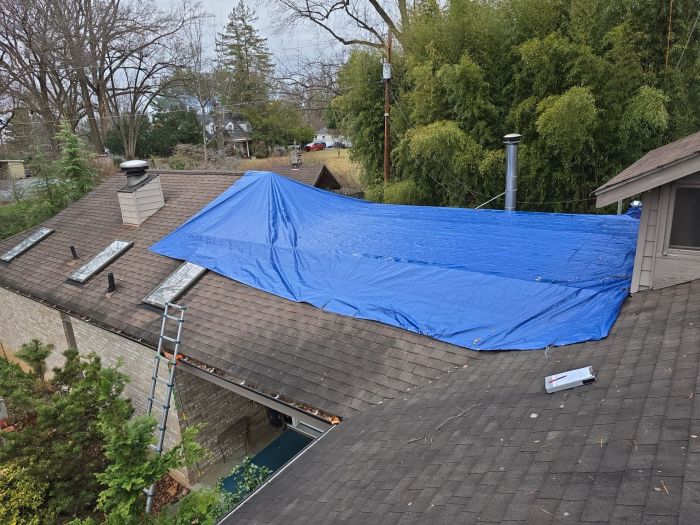 Tarp emergency